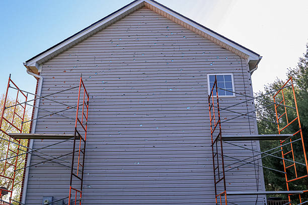Siding Damage